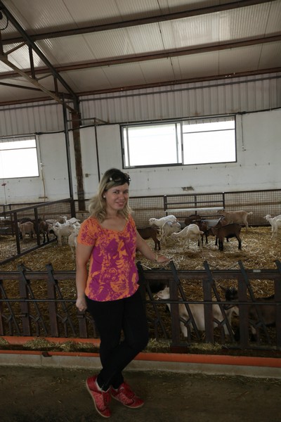 Dairy Khoury Farm Gates Opening